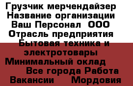 Грузчик-мерчендайзер › Название организации ­ Ваш Персонал, ООО › Отрасль предприятия ­ Бытовая техника и электротовары › Минимальный оклад ­ 18 000 - Все города Работа » Вакансии   . Мордовия респ.